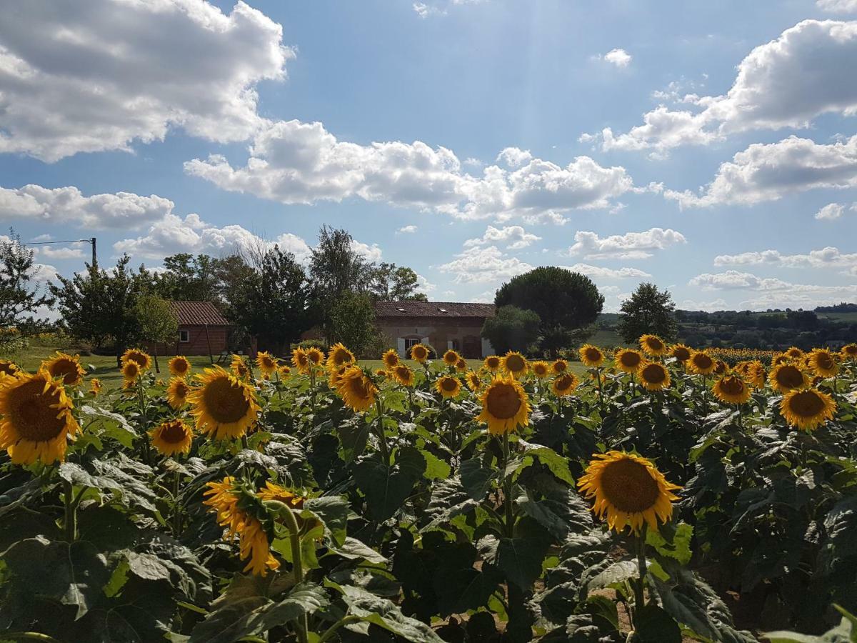 Les Hauts De Sames Deyme Exterior photo